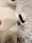 Coca Cola Polar Bear Bean Bag Teddy Plush Stuffed Toy Coke Bottle
