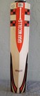 Gray-nicolls Blade High Profile F18 Cricket Bat