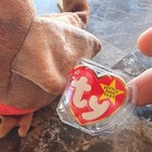 Ty Beanie Babies Early The Robin Beanbag Plush Vintage 1997 Ages 3  3-11