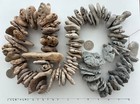 100 Adder Holey Beach Rocks Hag Stones Fairy Lucky Wish Magic Natural  u1 Usa