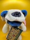 Grateful Dead Bean Bear - By Liquid Blue -  sugar Wags  Bear - Nwt - Rare