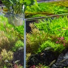 Aquarium Plant Holder 2pack Transparent Hanging Pot For Fish Tank Aquatic Plant