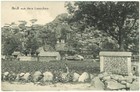Old China Postcard Lot Of 4  Qingdao  Jiaozhou  German 