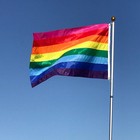 In The Breeze 3 Foot By 5 Foot Historic Pride Flag - Rainbow Grommet Flag Wit   