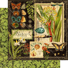 Graphic 45 Nature Notebook Dce   12 x12  Pad   Stickers   Chipboard  ships Free 