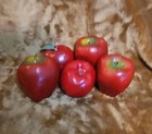 Set Of 5 Realist Apple Fruit Candles 3  X 2 appx  New