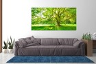 Kailefu-green Big Tree Sunshine Wall Art Canvas Prints Natural Landscape Pict   