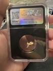Vaultbox Ngc Certified Gold Nugget  Very Rare  Sinaloa Mexico 0 73 Grams