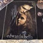 Mixed Lot Of 11 Items Twilight Series Figures  Pins  Bracelet  Bookmark  T-shirt