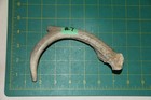 Small Straight Deer Antler Dog Chew  4   Bone Chews Deer Elk Treats Deer 1106