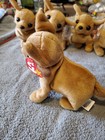Ty Beanie Baby - Tiny The Chihuahua Dog 5  New Mwmts Plush Stuffed Animal Toy