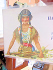 Advertising Ink Blotter Hayes Litho Co Grand Rapids Mich C1921 Native Girl