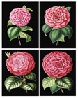 Antique Flower Prints Set Of 4 Reproduction Prints For Home Decor Each 8x10   