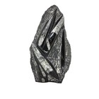 Orthoceras  Fossil  9   Plate  Display Specimen  Free Standing   r-6977