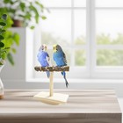 Bird Perch Toy Parrot Training Perch Perch Gym Wood Bird Training T Parrot Perch