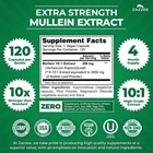 Zazzee Mullein 10 1 Extract  3000 Mg Strength  120 Vegan Capsules  Kosher