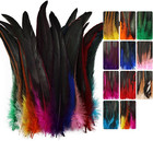 Colorful Rooster Tail Feathers-50pc 10-12inch Natural Long Rooster Tail Feathers