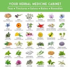 Medicinal Herb Seeds Variety Pack     36 Type Heirloom Non-gmo Healing Herbs