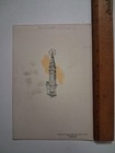 1920s-30s Smallpox Vaccine Brochure Metropolitan