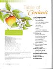 Copic Coloring Guide Level 4  Fine Details With Cd  orig  Price  14 95  New 