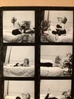 Sue Ane Langdon 1950   s Sexy Peekaboo Session Pin-up Photo 1 Contact Sheet 8 X 10