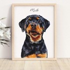 Custom Pet Portraits Using Pet Photo Personalized Digital Dog Portraits