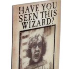 Harry Potter Have You Seen This Wizard Sirius Black Metal Magnet New Free Ship
