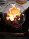 Aerolux Pink Flowers Light Bulb