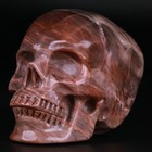 3 0  Petrified Wood Carved Crystal Skull  Realistic  Crystal Healing