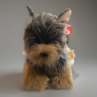 Ty Classic    daisy    The Yorkshire Terrier Yorkie Puppy Dog Plush 2007 With Tag