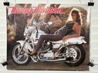 Vtg 1990   s Harley Davidson Leather Girl Pin Up Motorcycle Poster 20    X 16   