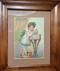 Vintage Rare Terra Cotta Aquarium Framed   Matted 1800s Chromolithograph Print 