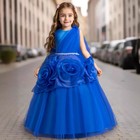 Kids Princess Girls Mesh Flower Long Dress Pageant Wedding Bridesmaid Party Gown