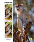 Patas Monkey Mnh Stamps 2024 Central African 2 M s