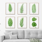11pieces Large Leaf Stencil 12 x6   Palm Fern Stencils For Painting On    