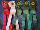 Huge Dressage Horse Show Ribbons Awards Equestrian Events Streamers Cut