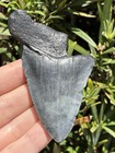 Natural Beautiful 3 29    Megalodon Tooth Fossil Shark Teeth