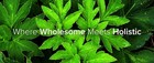 Ashitaba Powder Organic Anlica Keiskei Leaf   Phyto-dense
