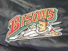 Vtg Buffalo Bisons Starter Satin Jacket Xl