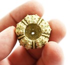 3 Green Knobby Mini Sea Urchins  3 4 -1 1 4   Beach Crafts Hobby Decor Nautical 