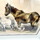 Thomas Sidney Cooper 1839 Ackermann Lithograph Antique Horse Art Print