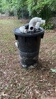 Sewage Ejector Pump