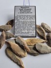 One Random Neolithic Flint Leaf-shaped Arrowhead North Africa Case   Info Card