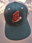 Vintage New Era Minor League Baseball Cap  Green White Mesh Back Adjustable Band