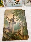 Victorian Scrap Images Cards Nature Birds Deer Raphael Tuck Card