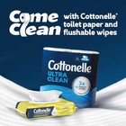 Cottonelle Summer Fresh Scented Flushable Wipes  2 Packs  42 Wipes Per Pack  New