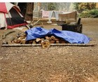 Grizzly Tarps By B-air 16  X 20  Large Multi-purpose Waterproof Heavy Duty