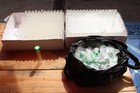 Pre Roll Tubes Bulk 341 Pcs With Green Cap  Glass  Brand New  Best Deal 