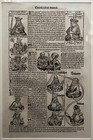 Framed Original Page 81 From Nuremberg Chronicle 1493 Incunabula  2 Sided Latin
