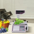 Digital Dual Label Printing Computing Scale Price Market Printer Food Scale66lbs